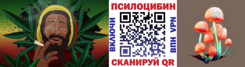 дарнет шоп  Ачхой-Мартан  Галлюциногенные грибы GOLDEN TEACHER 