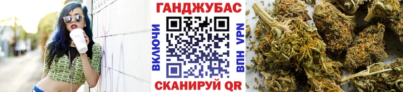 Шишки марихуана план  купить наркотик  Ачхой-Мартан 
